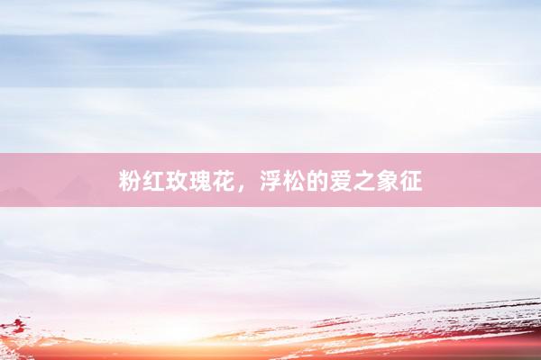 粉红玫瑰花，浮松的爱之象征