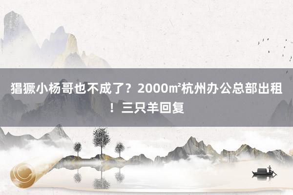 猖獗小杨哥也不成了？2000㎡杭州办公总部出租！三只羊回复