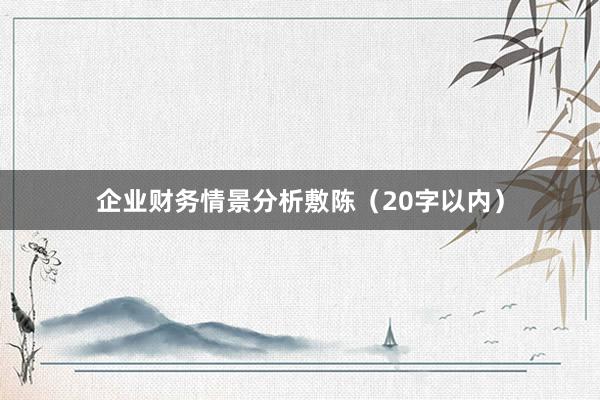 企业财务情景分析敷陈（20字以内）