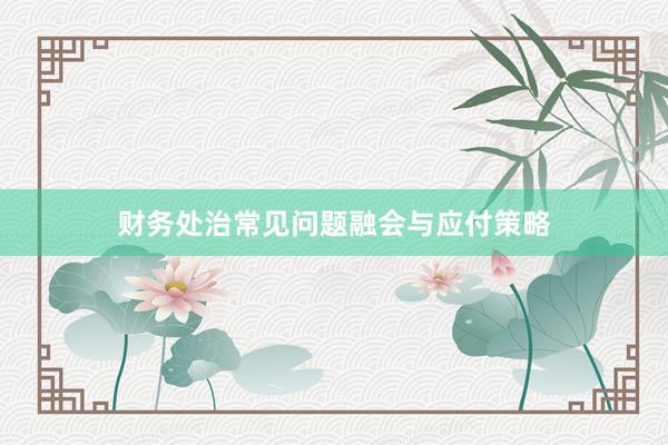 财务处治常见问题融会与应付策略