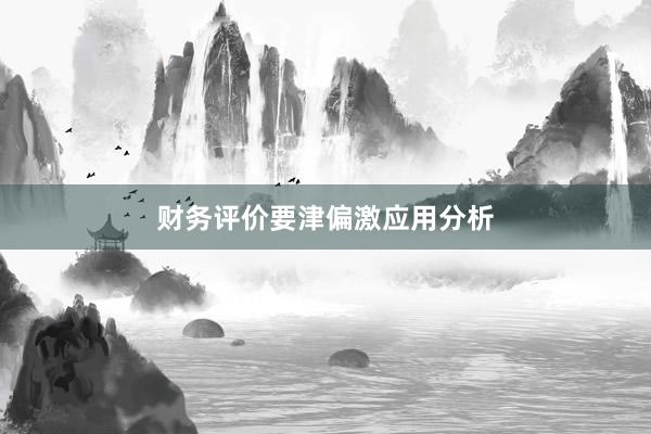 财务评价要津偏激应用分析